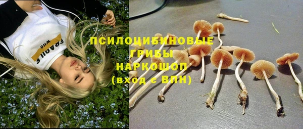 ПСИЛОЦИБИНОВЫЕ ГРИБЫ Алексеевка