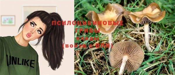 а пвп мука Алзамай